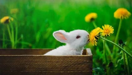 全运会女子5000米决赛 河南选手梁田田获得冠军